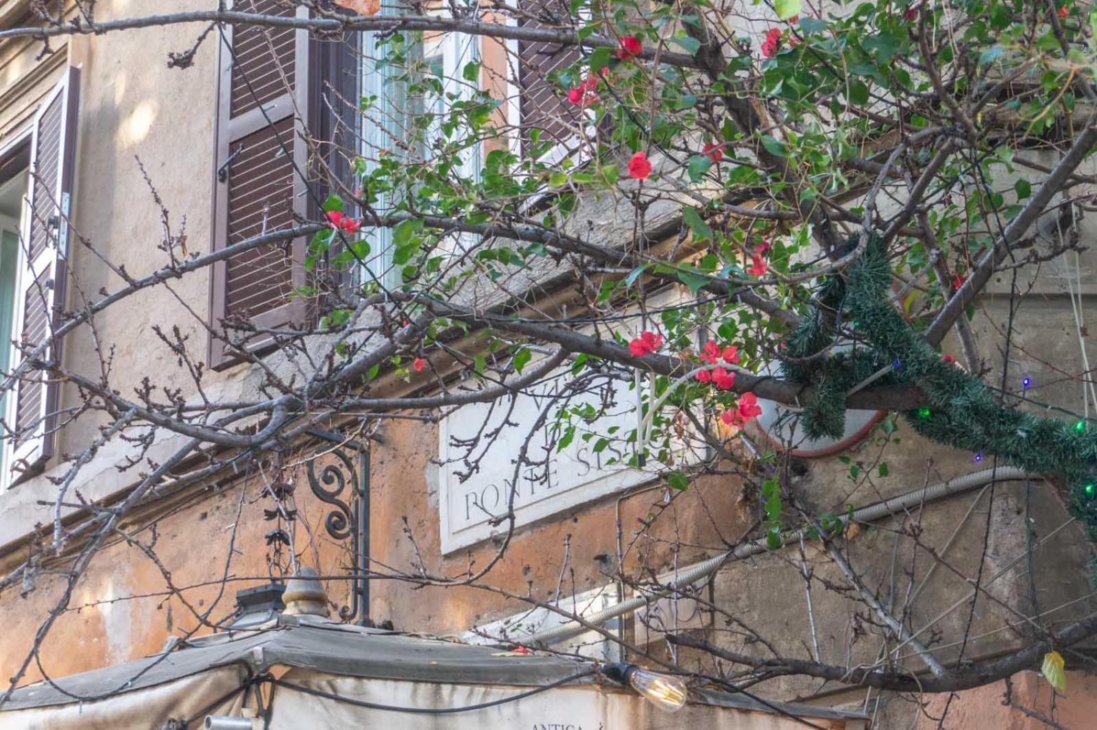 Lusso E Panorama Senza Paragoni, Loft Trastevere Rome Exterior photo